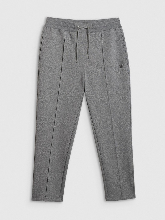 4F Spodnie dresowe męskie - szare S
