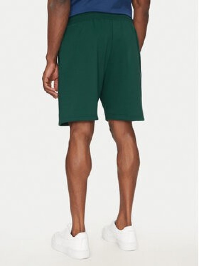 The North Face Szorty sportowe Nse Box NF0A8C1J Zielony Regular Fit