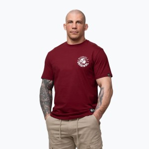 Koszulka męska Pitbull Dog SD