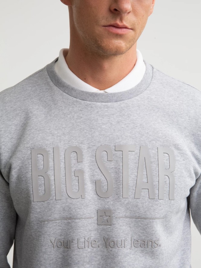 Bluza męska z nadrukiem szara Ecodort 902