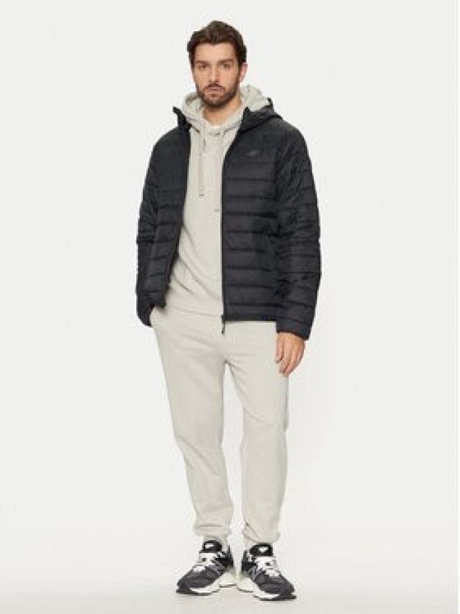 4F Kurtka zimowa 4FWAW24TDJAM484 Czarny Regular Fit