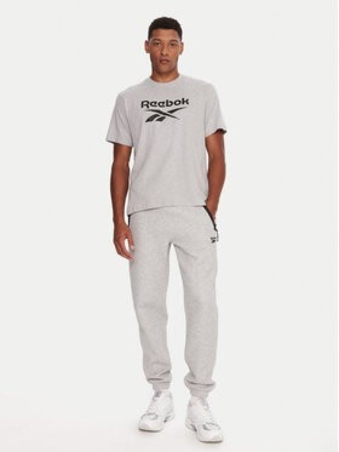 Reebok T-Shirt RK25141CCM Szary Regular Fit