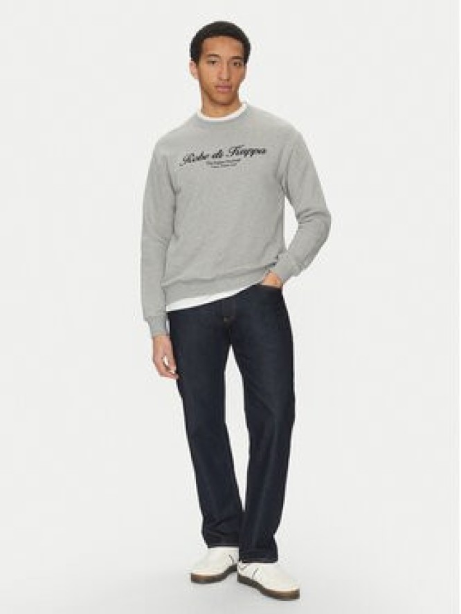 Robe di Kappa Bluza Robe Giovani 641411W Szary Regular Fit