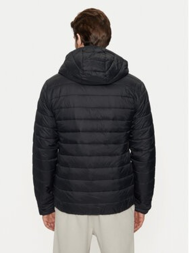 4F Kurtka zimowa 4FWAW24TDJAM484 Czarny Regular Fit