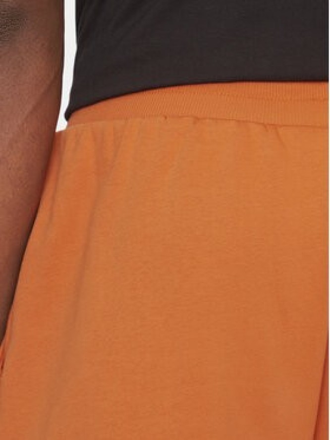 The North Face Szorty sportowe Nse Box NF0A8C1J Brązowy Regular Fit