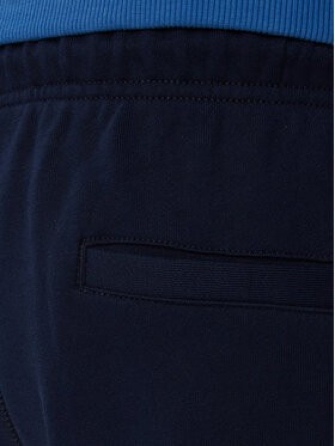 Tommy Hilfiger Szorty sportowe Rwb MW0MW43384 Granatowy Regular Fit