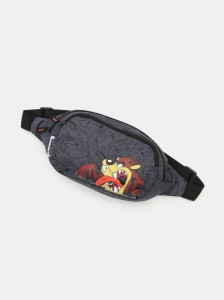 Nerka z nadrukiem Looney Tunes - szary