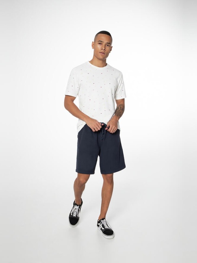 Spodenki męskie ProtestPRTNICHLAS shorts