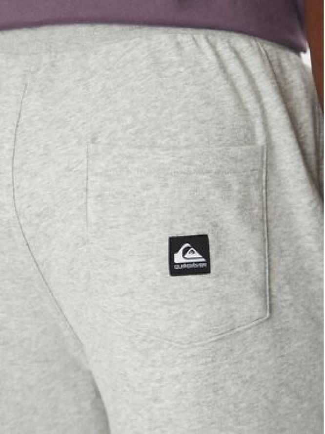 Quiksilver Spodnie dresowe Salt Water EQYFB03391 Szary Regular Fit