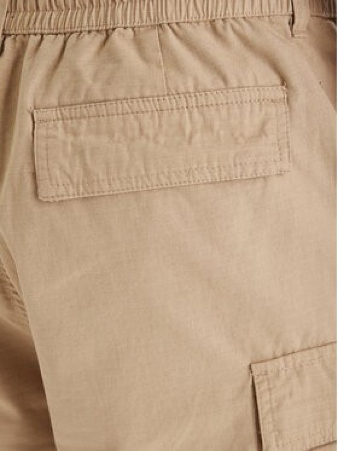 DC Shoes Szorty materiałowe Tundra ADYWS03086 Beżowy Regular Fit