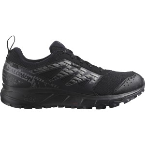 Buty do biegania męskie Salomon Wander Gtx W