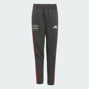 SPODNIE AUDI REVOLUT F1 TEAM DNA