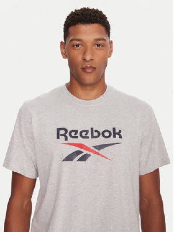 Reebok T-Shirt RK25158CCM Szary Regular Fit