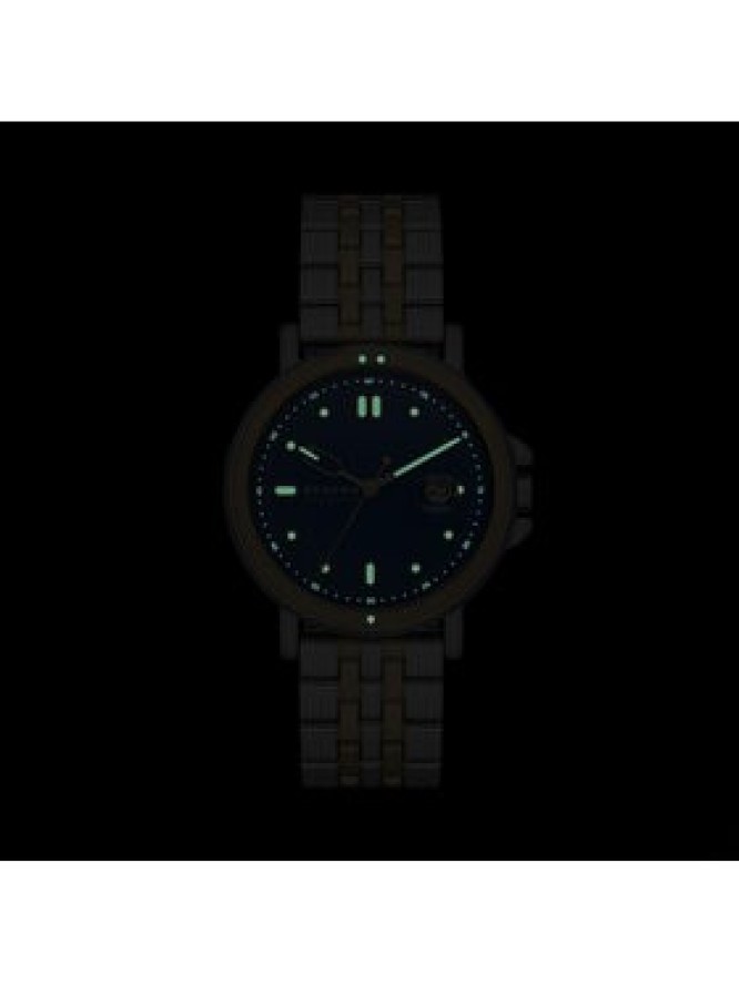 Skagen Zegarek Signature SKW6921 Niebieski
