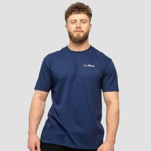 Koszulka męska fitness regular z krótkim rękawem Basic