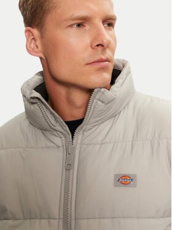 Dickies Kurtka przejściowa Waldenburg DK0A4XP2D06 Szary Regular Fit