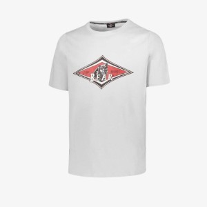 Koszulka T-shirt Bear Big Logo biała