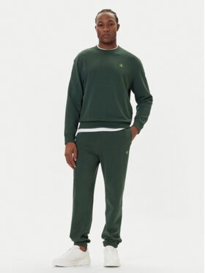 Calvin Klein Jeans Bluza LV04RC296G Zielony Regular Fit