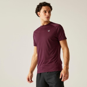Koszulka Accelerate Mens Active