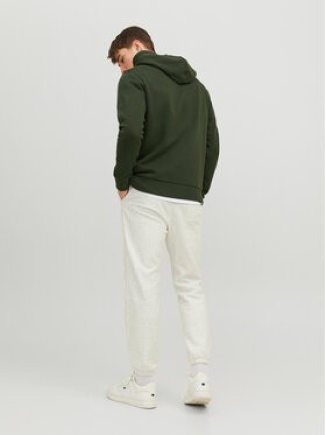 Jack & Jones Spodnie dresowe Kane 12236479 Szary Loose Fit