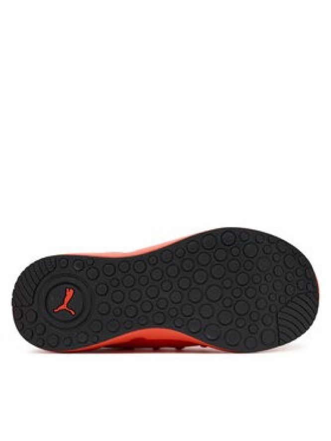 Puma Buty do biegania Softride Carson Fresh 310155 03 Czerwony