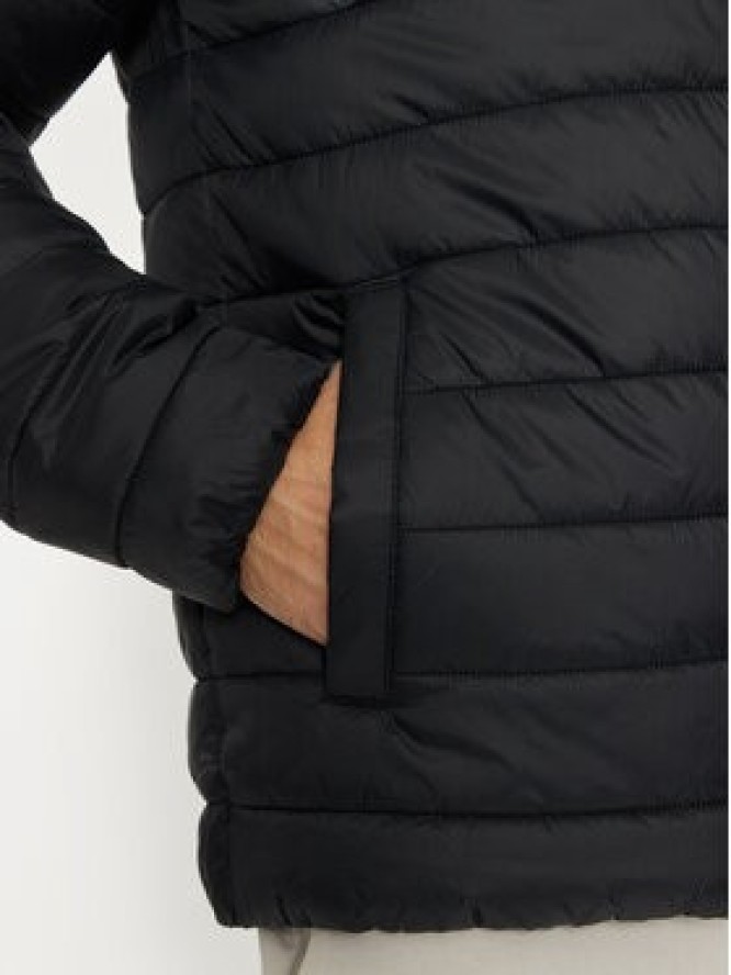 4F Kurtka zimowa 4FWAW24TDJAM484 Czarny Regular Fit