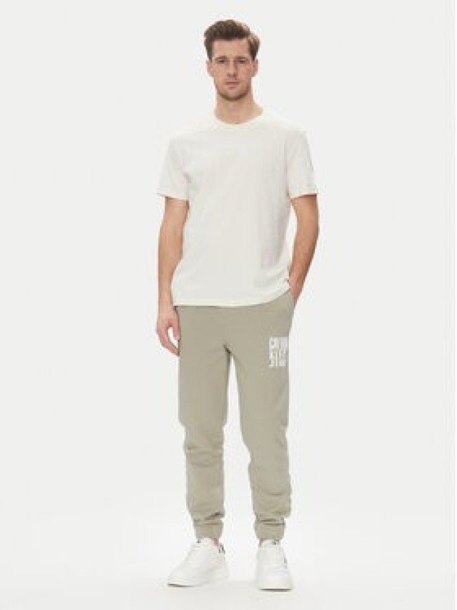 Calvin Klein Jeans Spodnie dresowe Painted J30J327535 Zielony Regular Fit