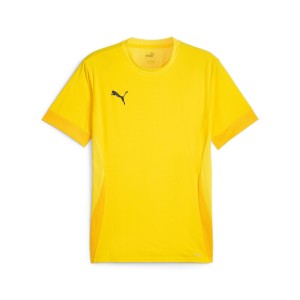Koszulka Puma TeamGoal