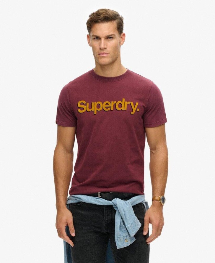 Klasyczny T-shirt Superdry Core Logo Shadow