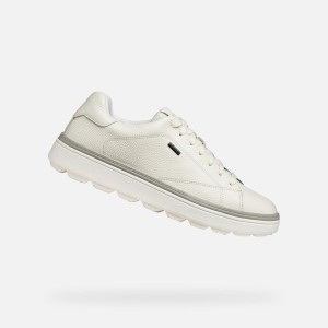 Sneakersy Geox Spherica Ecub-1.1
