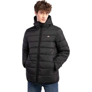 Kurtka zimowa męska Dickies Waldenburg Mid