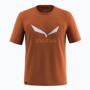 SALEWA Koszulka męska Solidlogo Dry M T-Shirt bombay brown-L