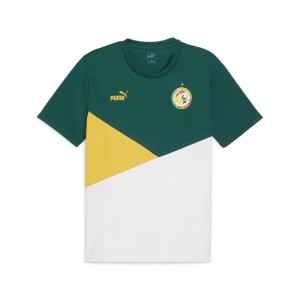 Koszulka Sénégal 2023