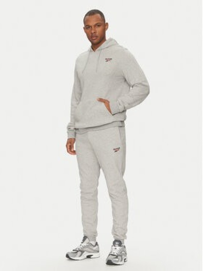 Reebok Spodnie dresowe 100221804 Szary Regular Fit