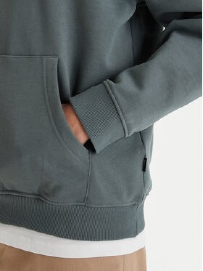 RVCA Bluza Butterfly Poster EVYSF00136 Zielony Boxy Fit