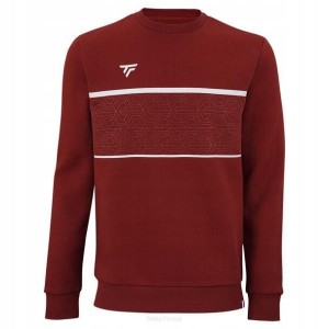 Bluza męska Tecnifibre Team Sweater
