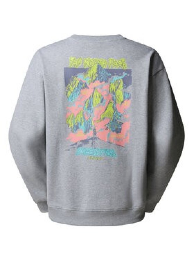 The North Face Bluza Expedition Celebration NF0A8E3G Szary Relaxed Fit
