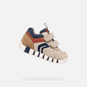 Buty GEOX B IUPIDOO BOY Rose