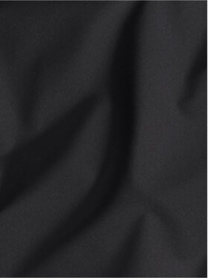 Jack Wolfskin Kurtka zimowa Brandenburger A65047 Czarny Regular Fit