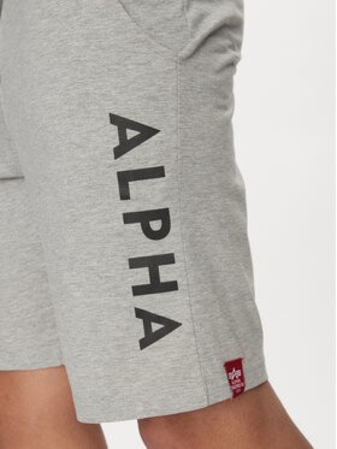 Alpha Industries Szorty sportowe 116366 Szary Regular Fit