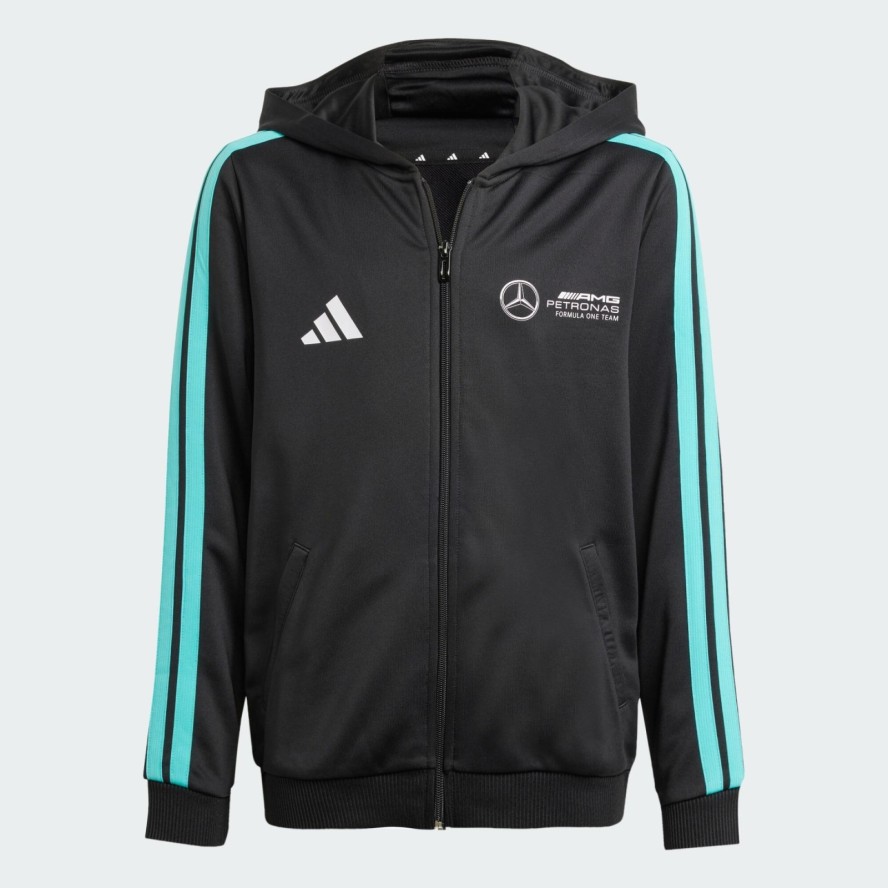 BLUZA Z KAPTUREM MERCEDES - AMG PETRONAS FORMULA ONE TEAM DNA FULL ZIP