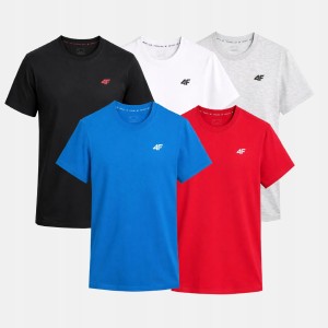 T-SHIRT MĘSKI 4F KOSZULKA ZESTAW KOMPLET 5PAK TTSHM3341