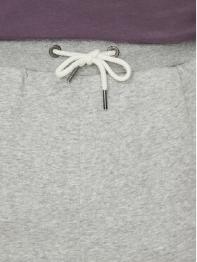 Quiksilver Spodnie dresowe Salt Water EQYFB03391 Szary Regular Fit