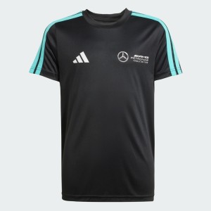 KOSZULKA MERCEDES - AMG PETRONAS FORMULA ONE TEAM DNA