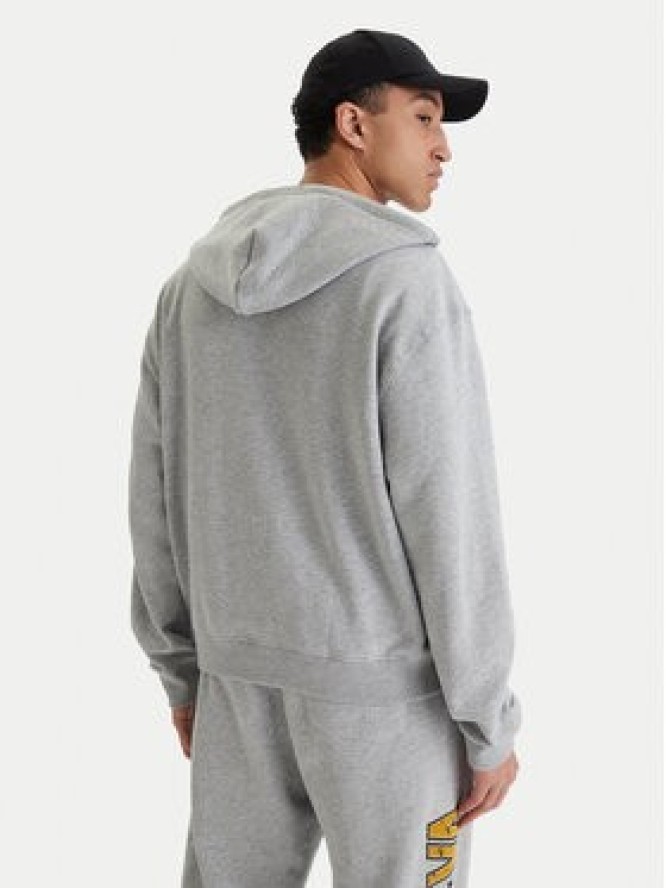 RVCA Bluza Va X Ali 23A413500 Szary Regular Fit