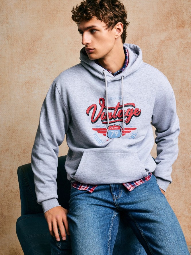 Bluza męska z kapturem z nadrukiem szara Luka 901