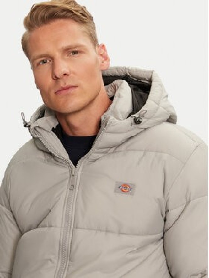 Dickies Kurtka przejściowa Waldenburg Hooded DK0A4YEYD06 Szary Regular Fit