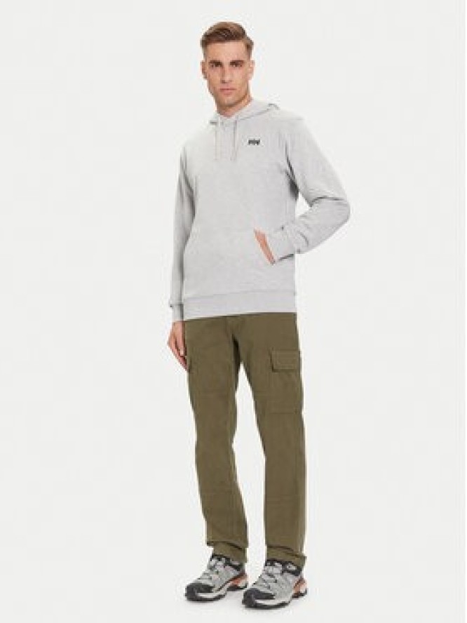 Helly Hansen Bluza Core Graphic 54524 Szary Regular Fit