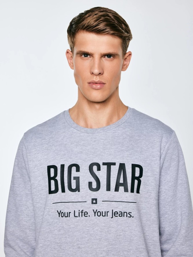 Bluza męska z nadrukiem szara Ecodort 901