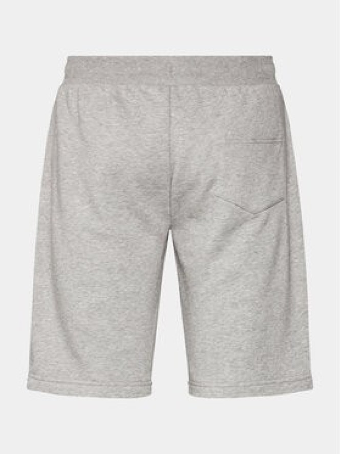 Colmar Szorty sportowe Connective 8244R 5WS Szary Regular Fit